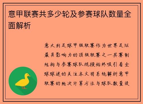 意甲联赛共多少轮及参赛球队数量全面解析