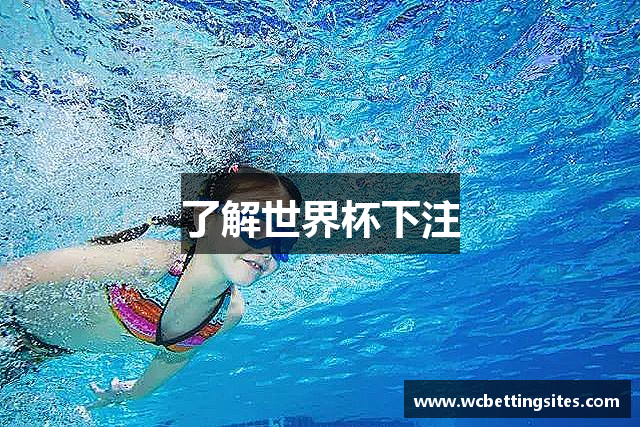 了解世界杯下注